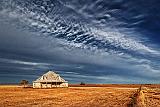 Texas High Plains_71715